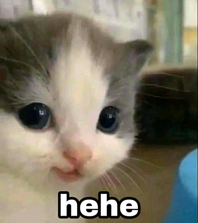 Reaction